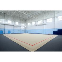 Тренировочный ковер 8х8м (гимнастический)